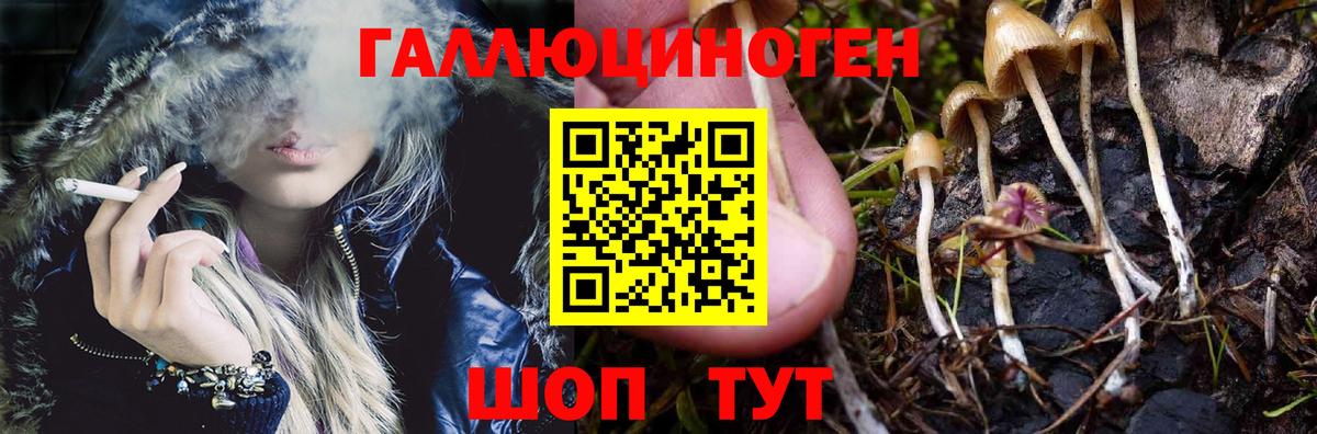 Галлюциногенные грибы Cubensis  Вход с VPN  Куйбышев 