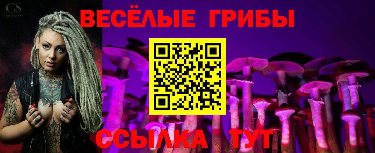 Псилоцибиновые грибы Psilocybine cubensis Куйбышев